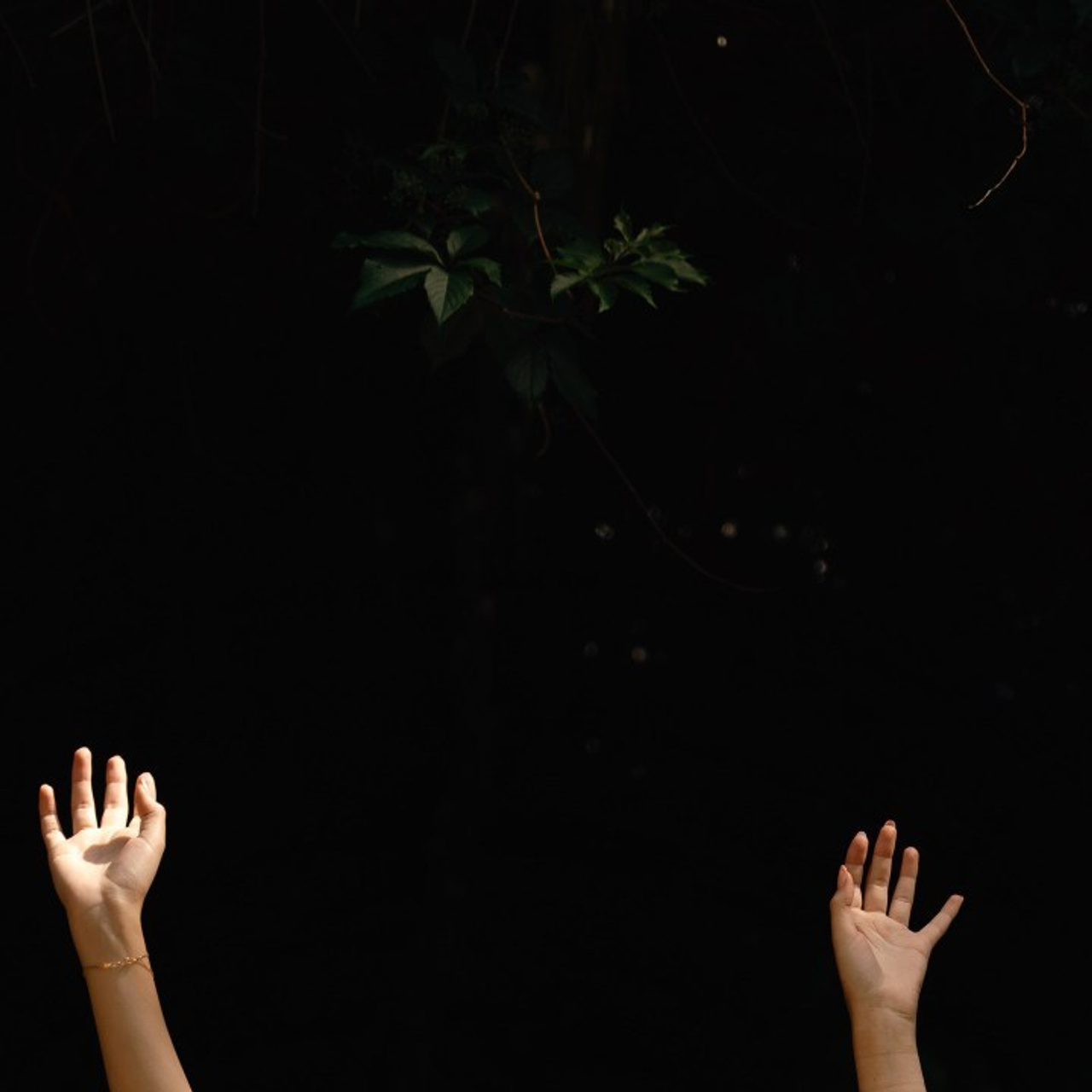 Отзывы. Валерия Никишина