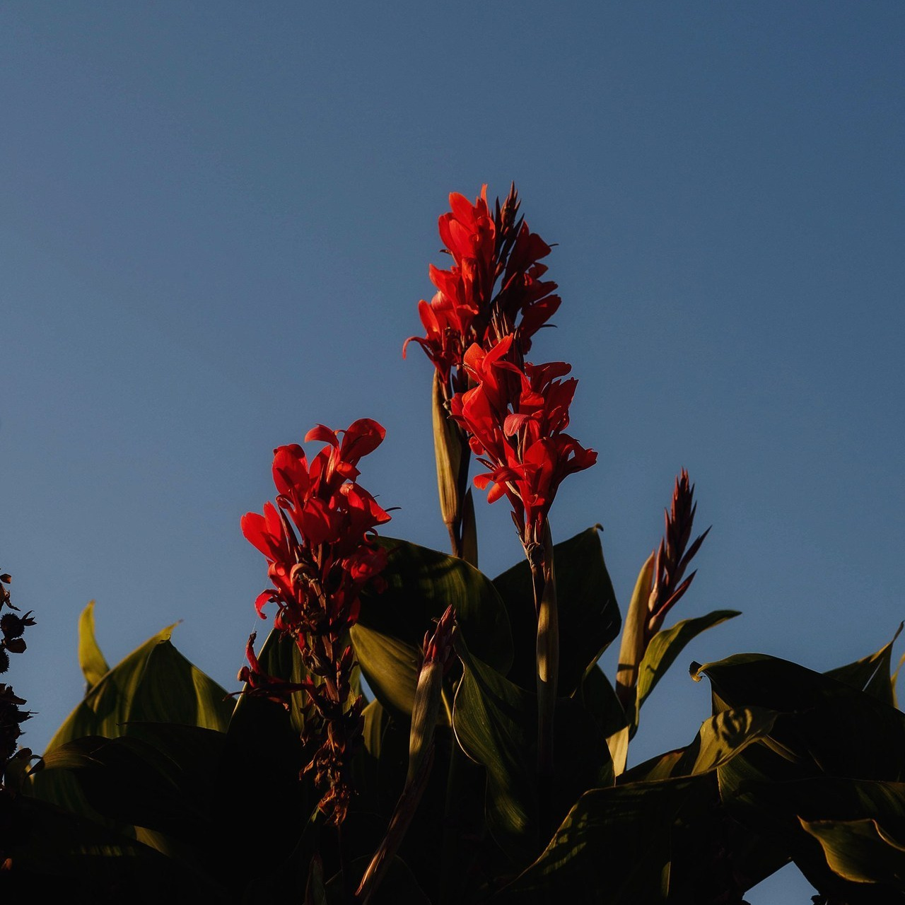 Отзывы. Портретный и репортажный фотограф в Чебоксарах Андриян Чаркин