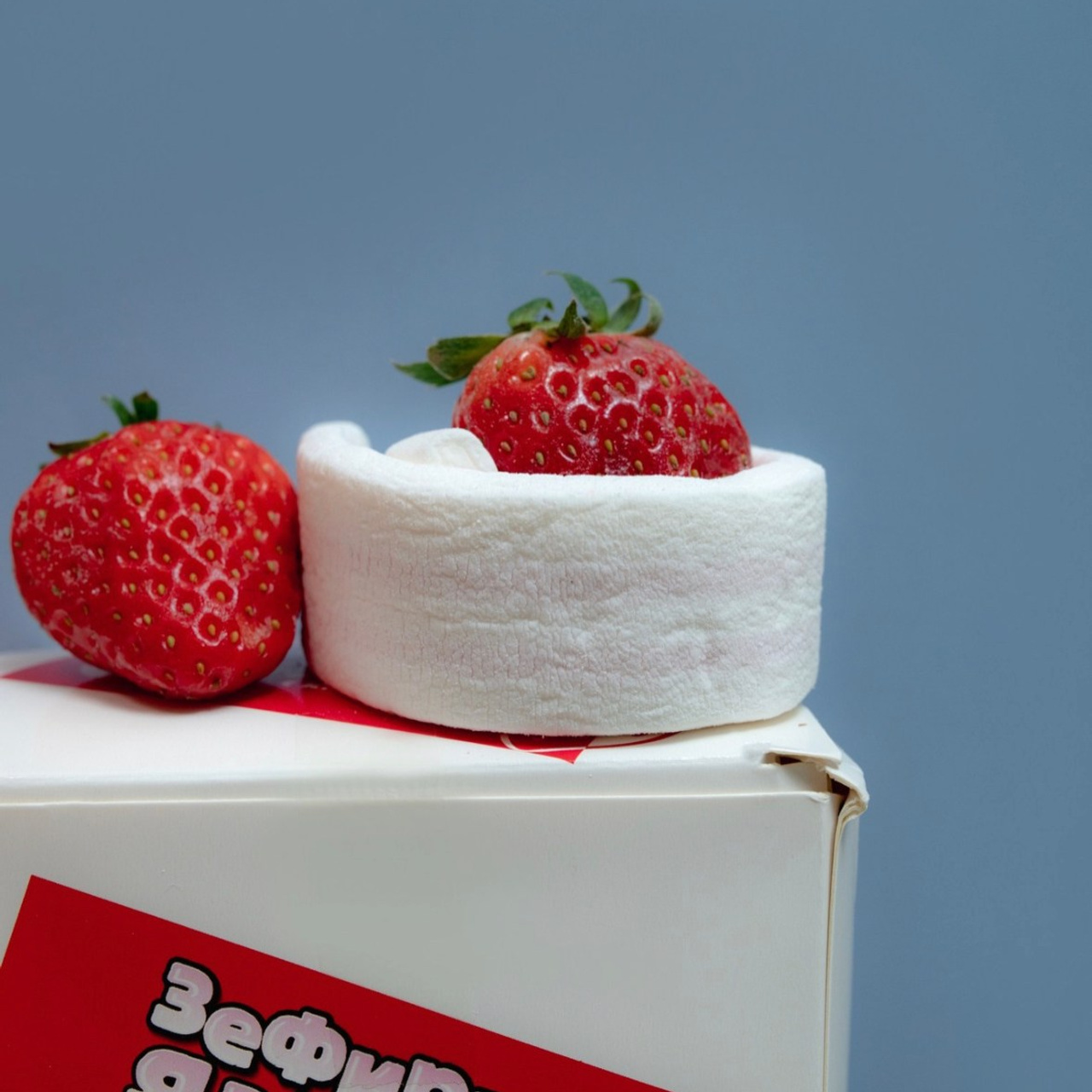 Отзывы. Коммерческий фотограф в Казани Ксения Добролюбова