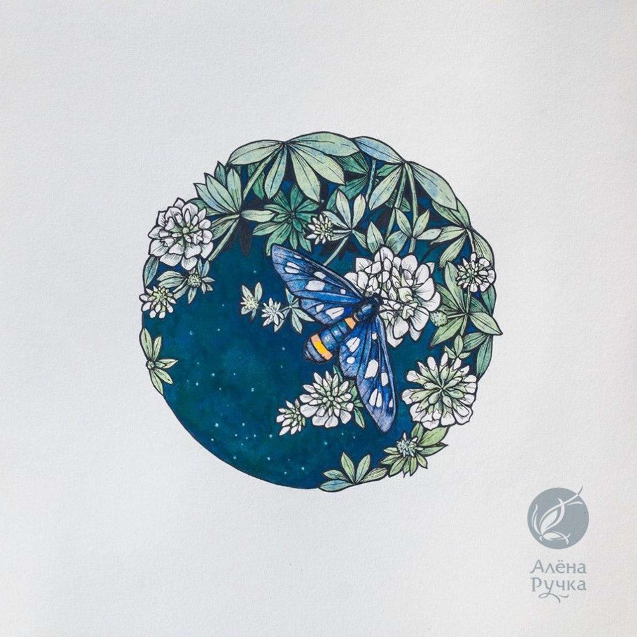 Графика. Ручка Алена — ботанический художник, дизайнер, фотограф
