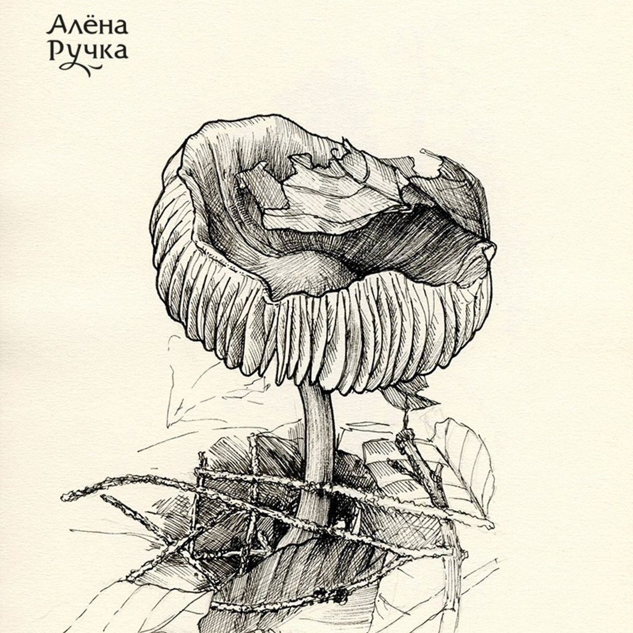 Графика. Ручка Алена — ботанический художник, дизайнер, фотограф