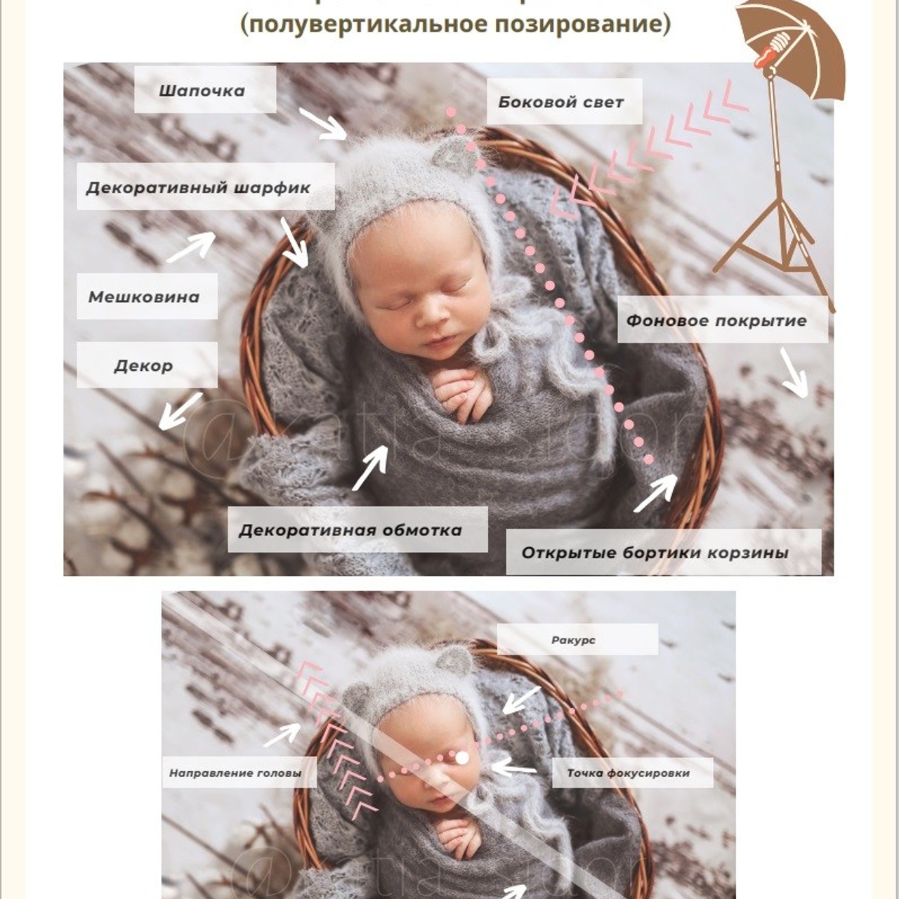 Карта позировок newborn. Катя Сидор — фотограф в Москве