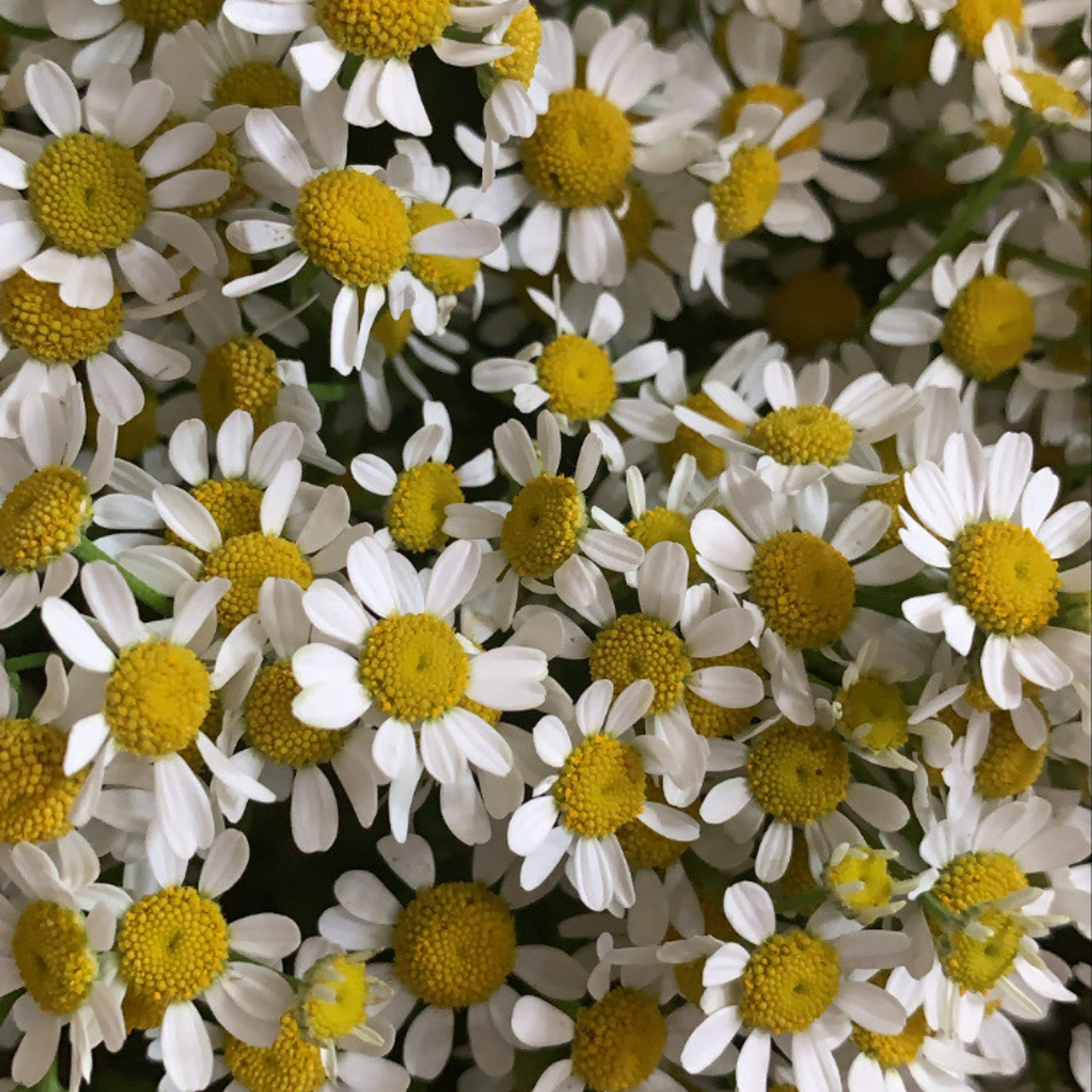 Отзывы. Ведущий, Тамада, DJ, фото в Перми. Хорошее настроение