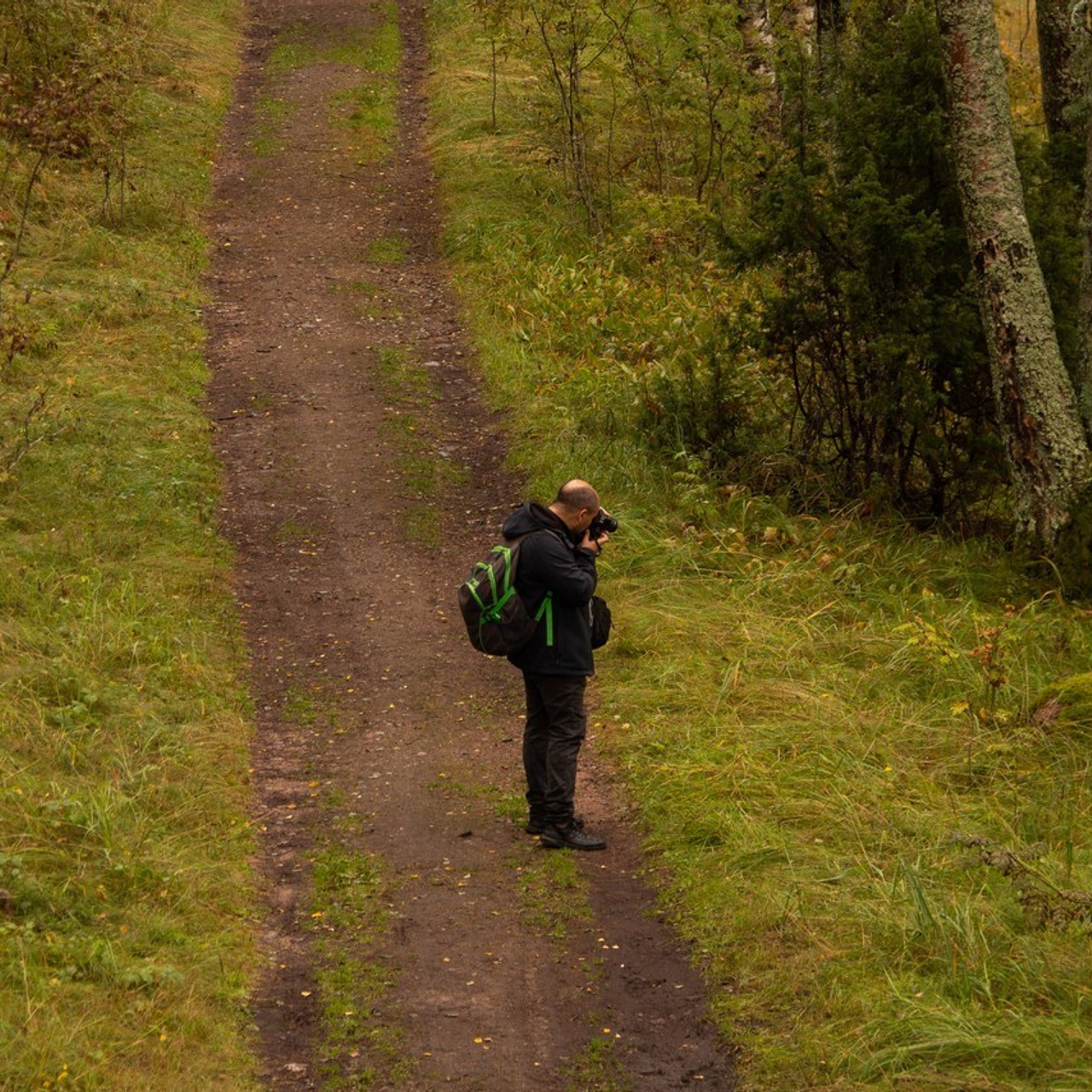 Отзывы. Главная