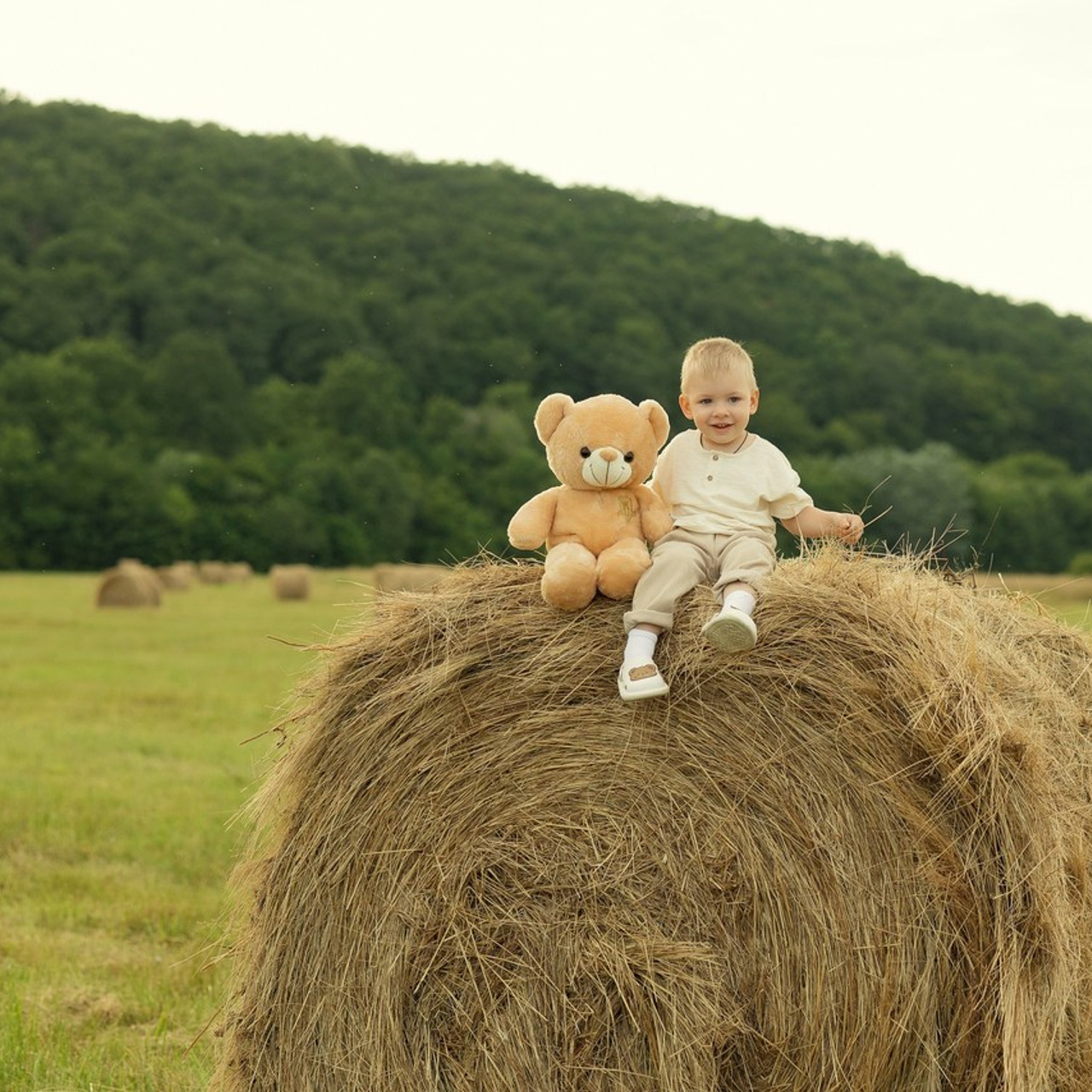 Отзывы. Свадебный и семейный фотограф Майкоп Галина Кизилова