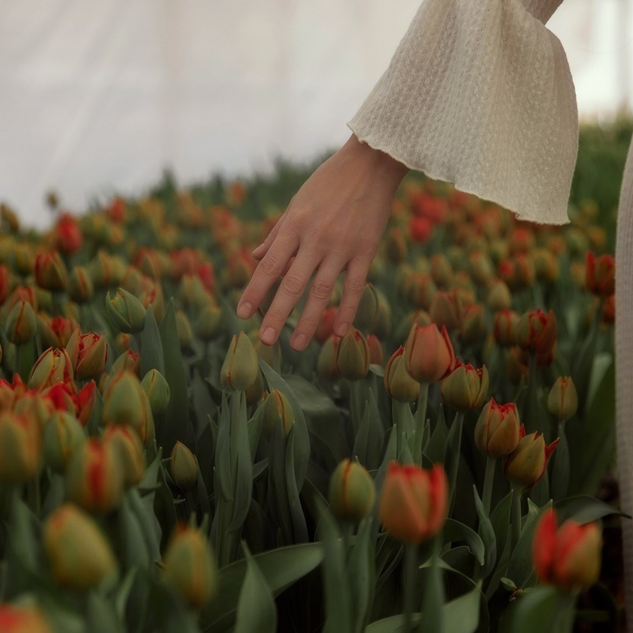 Отзывы. Свадебный и семейный фотограф Майкоп Галина Кизилова