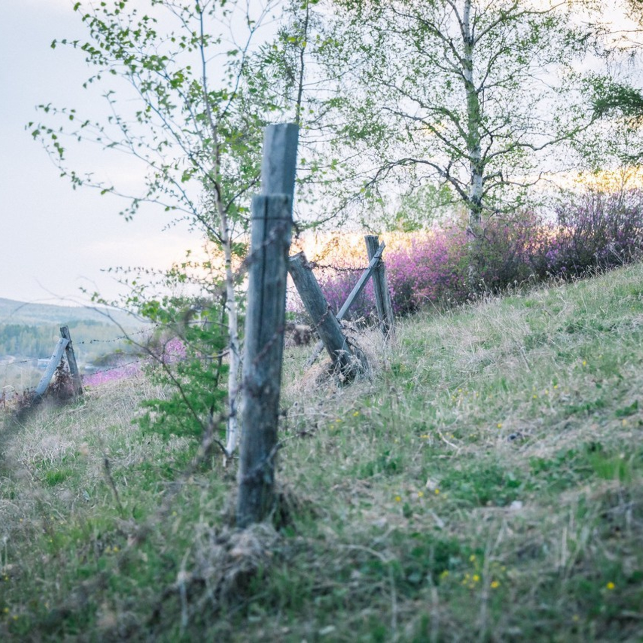 Отзывы. Семейный, репортажный, детский фотограф Комсомольск-на-Амуре