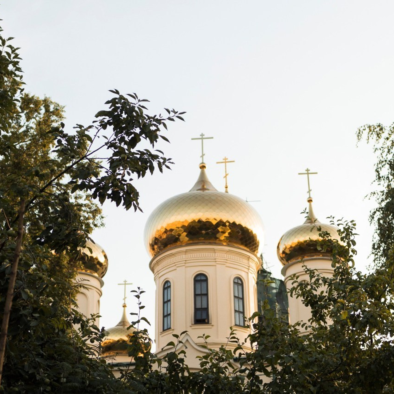 Отзывы. Фотограф/Москва/Жуковский/Раменское