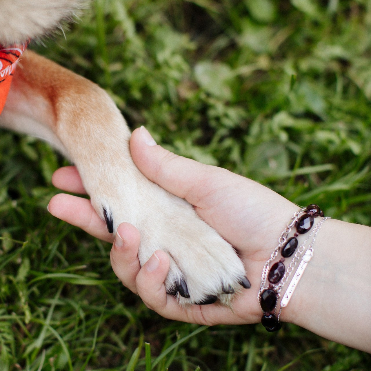Отзывы. Фотограф Москва ✨Мария Назарова