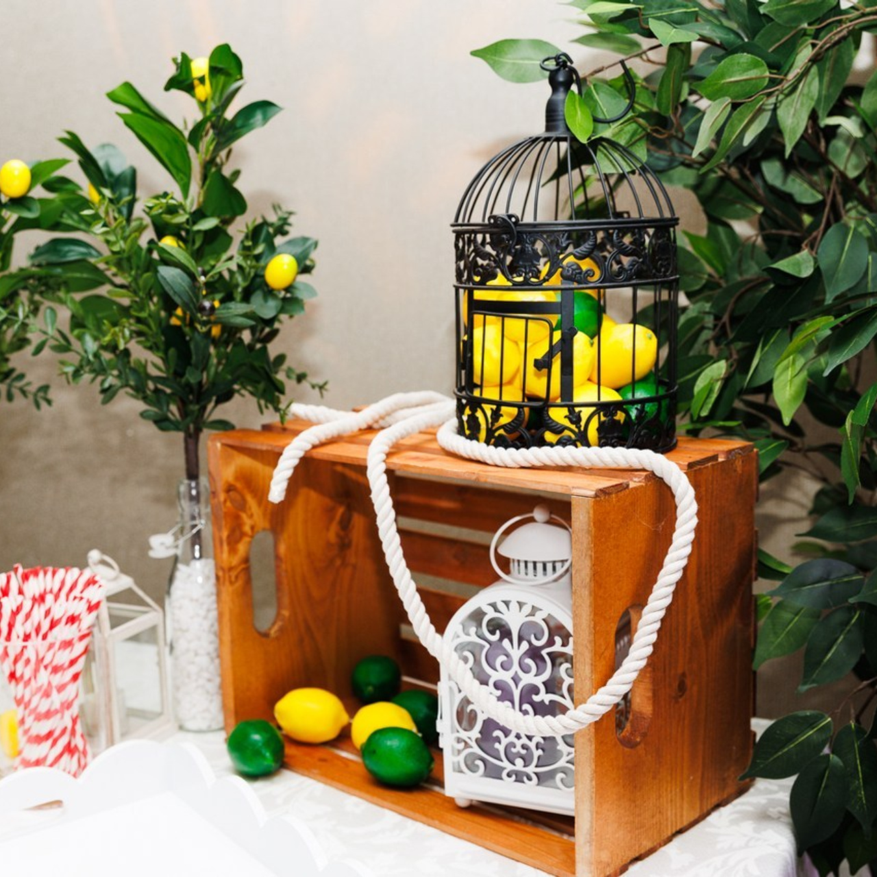 Testimonials. Portrait photographer Toronto