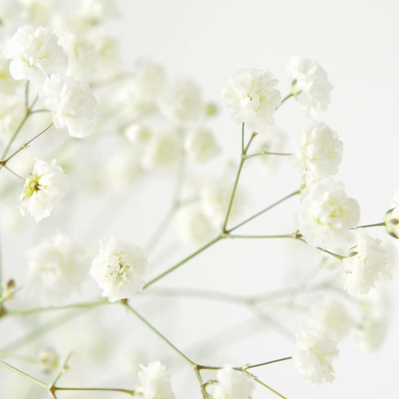 Оставить отзыв