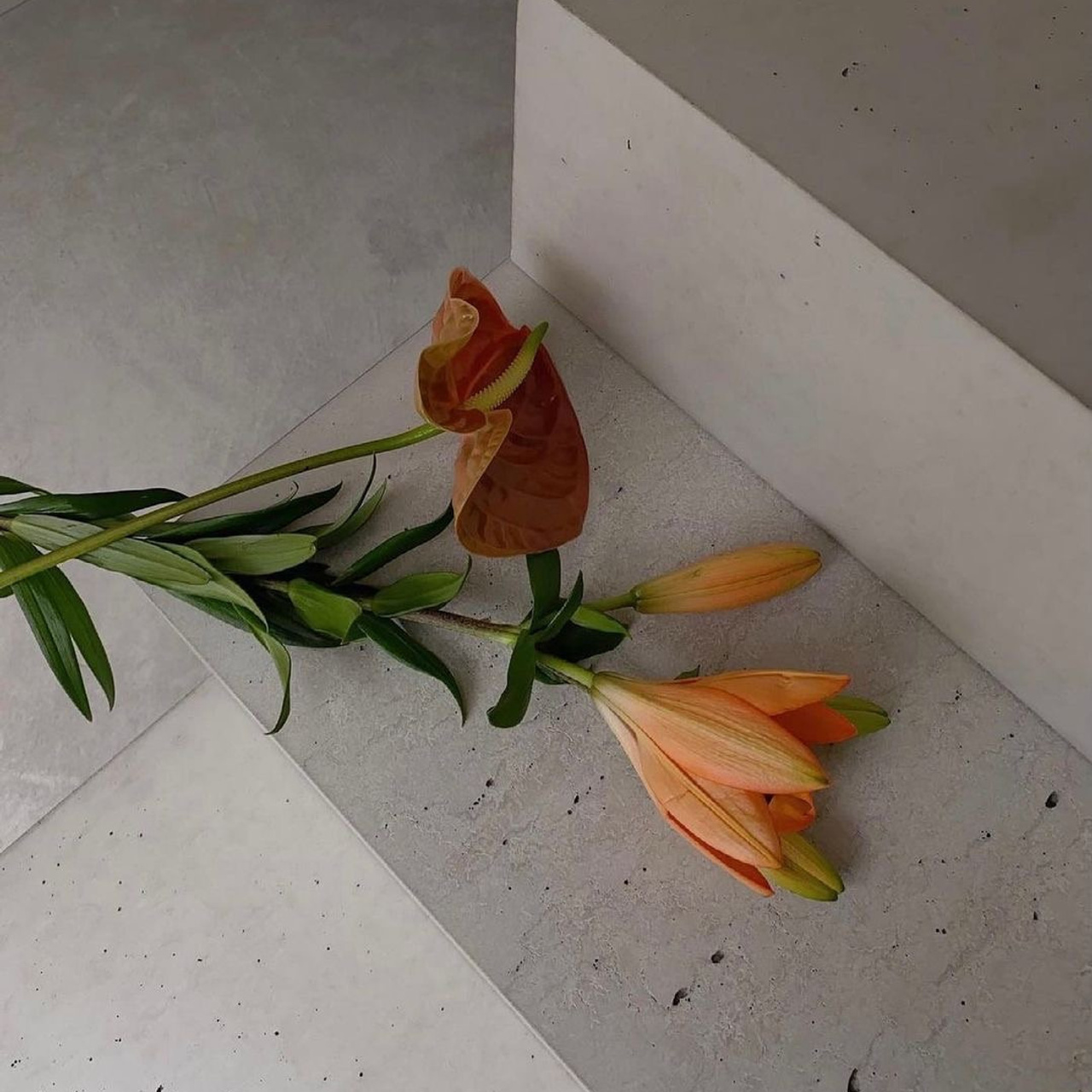 Оставить отзыв