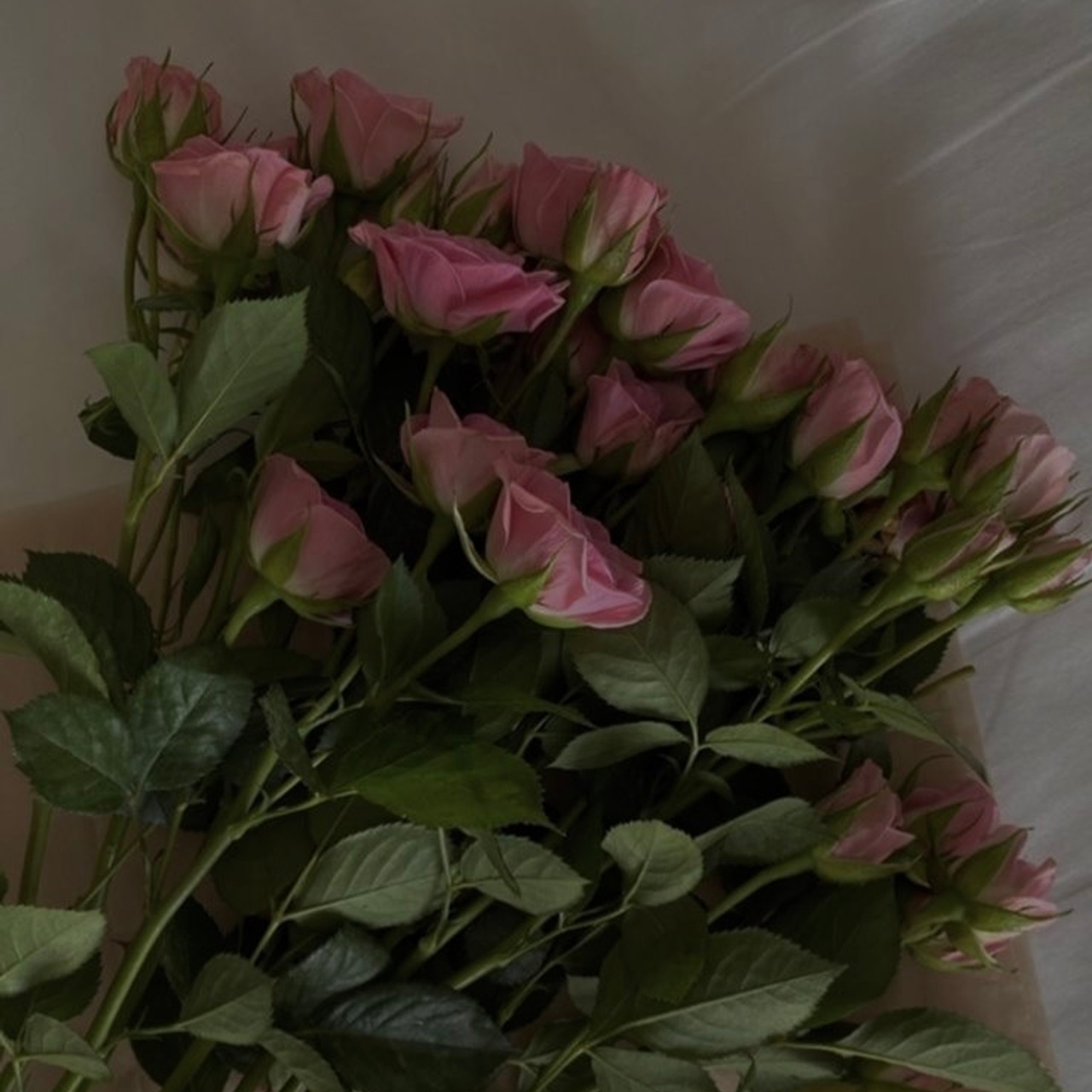 Оставить отзыв