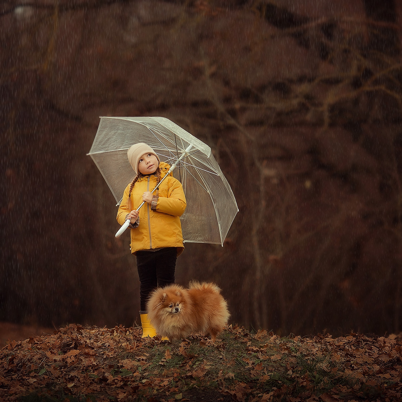 Отзывы о фотографе Оксане Сахно. Детский и семейный фотограф в Белгороде Оксана Сахно