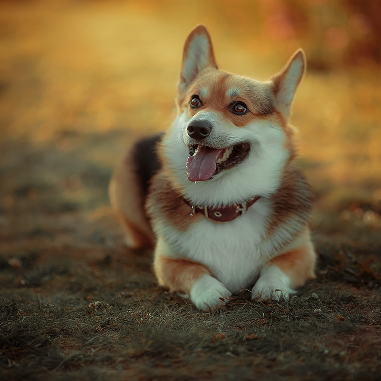 Отзывы о фотографе Оксане Сахно. Детский и семейный фотограф в Белгороде Оксана Сахно