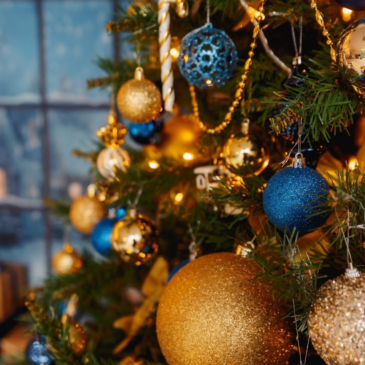 Отзывы. Фотограф в Кронштадте и Санкт-Петербурге Анастасия Коваленко