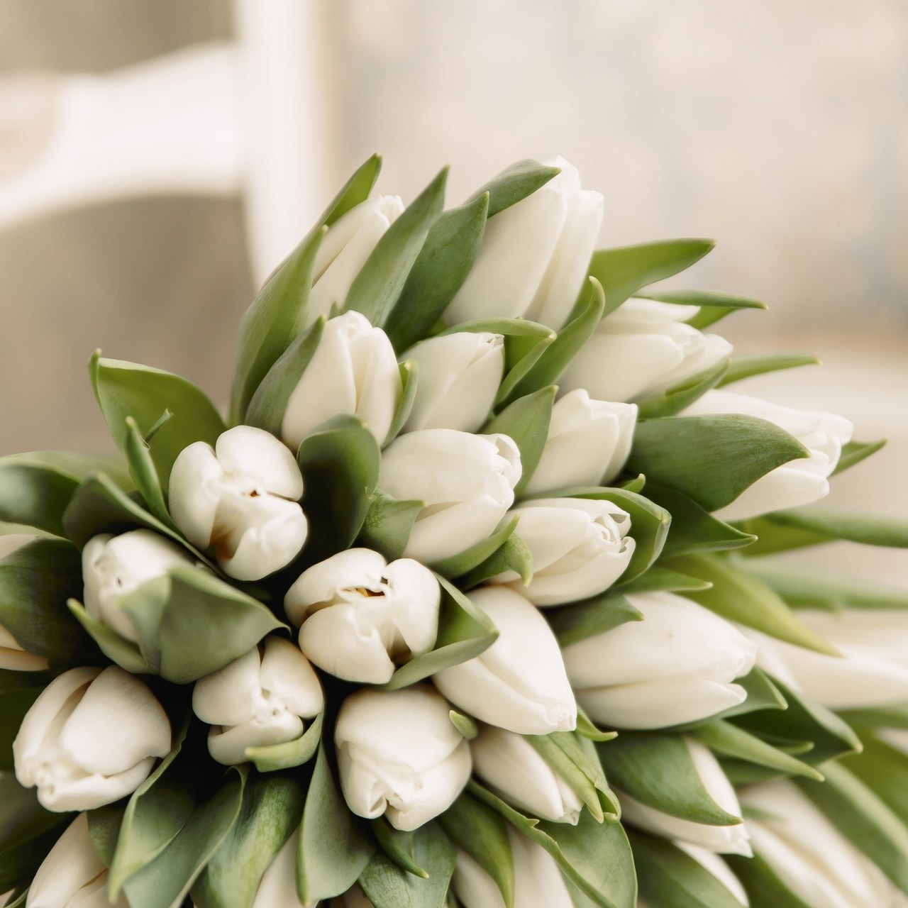 Отзывы. Фотограф в Кронштадте и Санкт-Петербурге Анастасия Коваленко