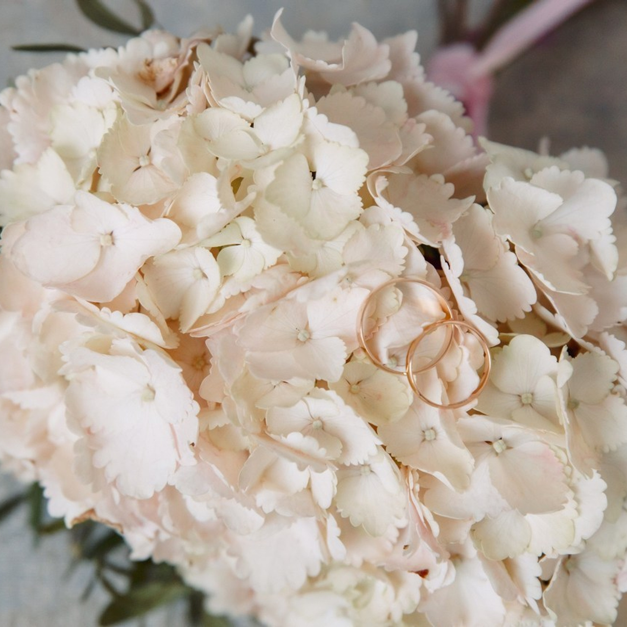 Отзывы. Фотограф в Кронштадте и Санкт-Петербурге Анастасия Коваленко