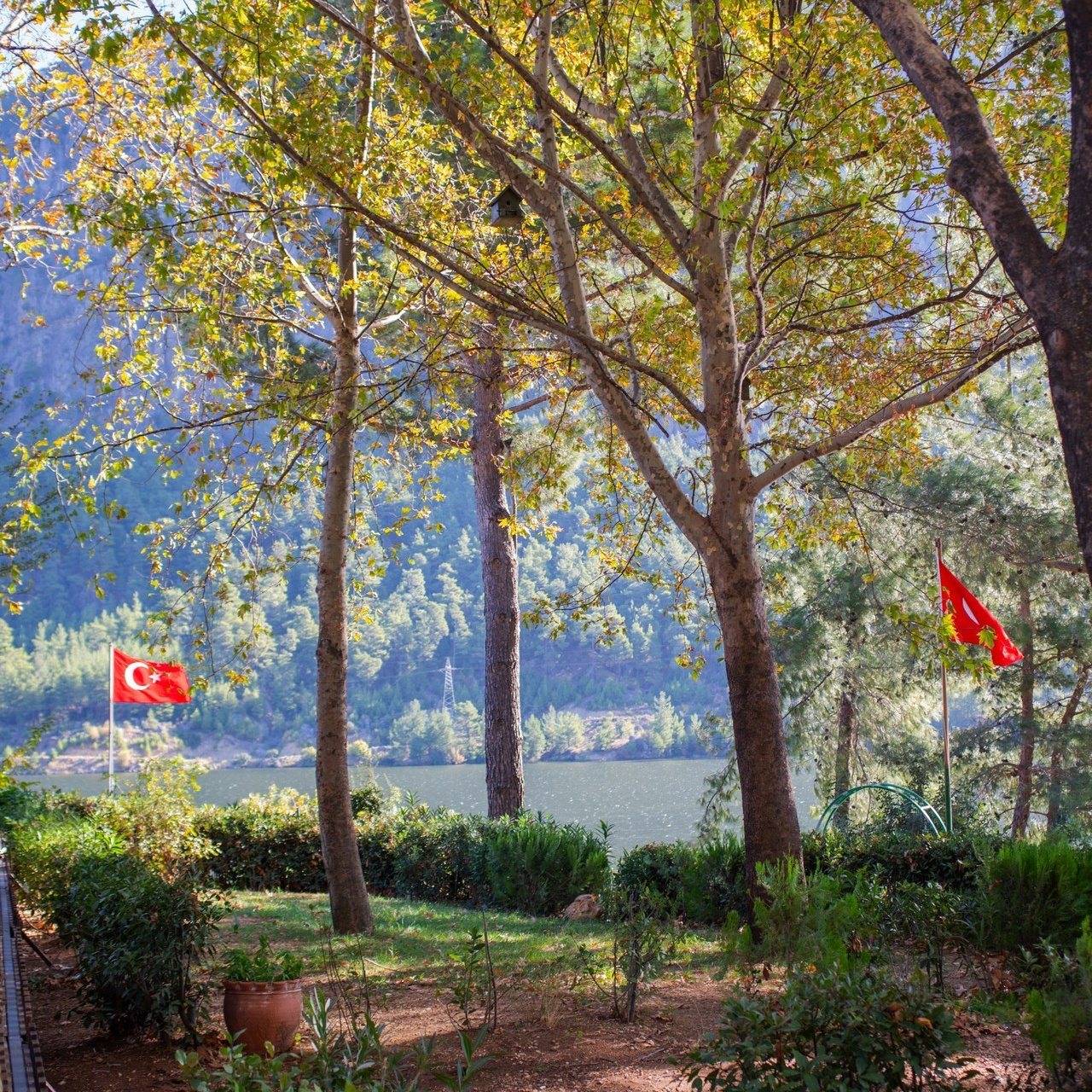 Отзывы. Фотограф в Анталии | Профессиональная фотосессия | Наталья Цыбульская