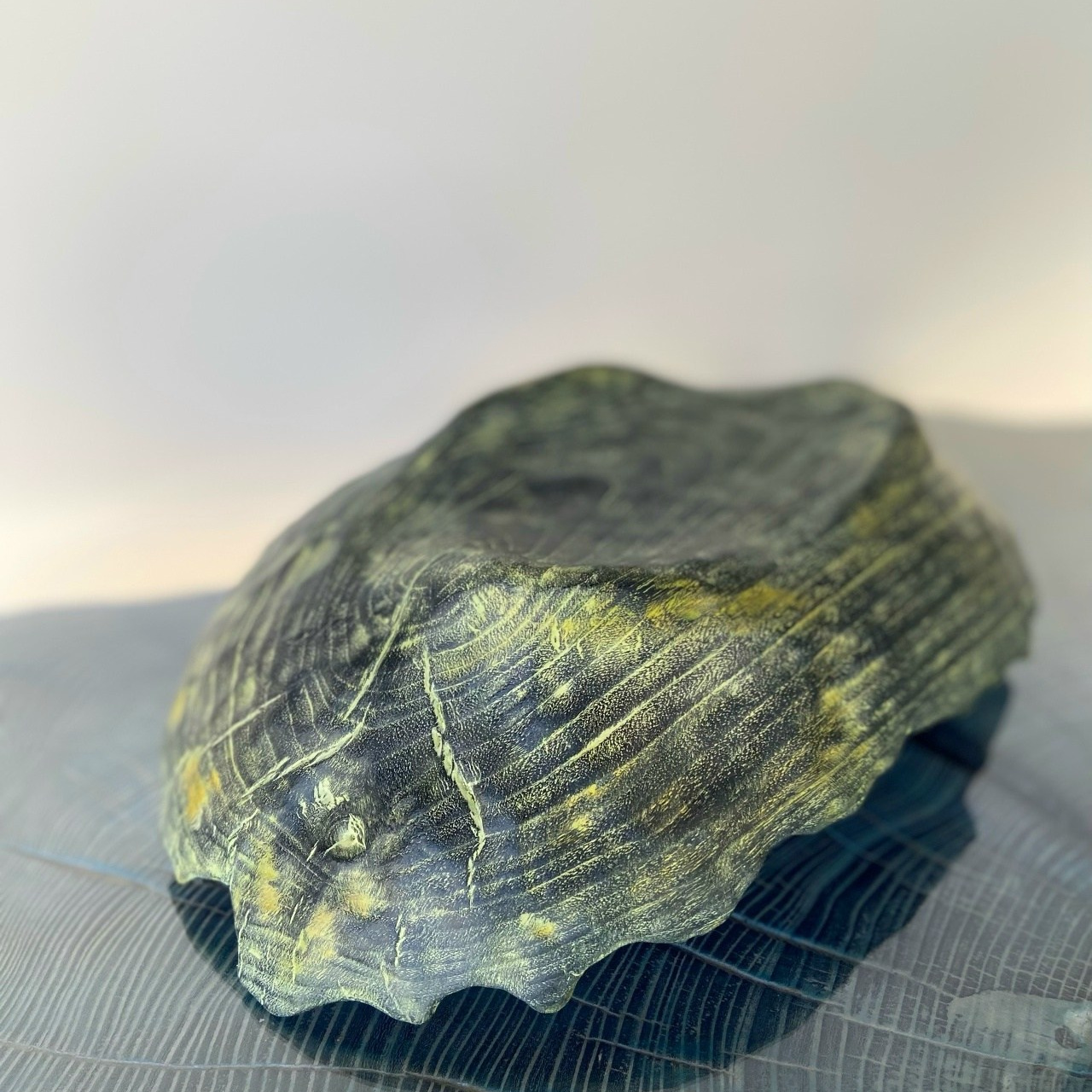 Чаша из дерева «Лесная раковина». Арт-объекты для стен. Авторские картины, панно, часы и портреты по фото