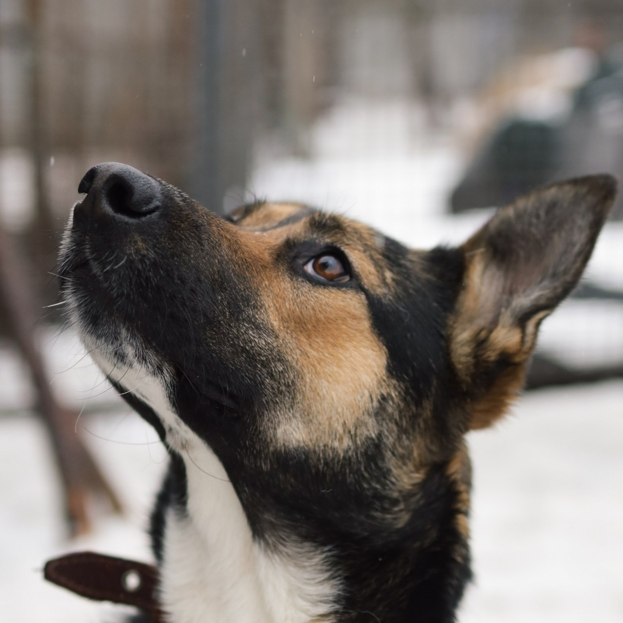 Отзывы. Фотограф Мария Сваридзе