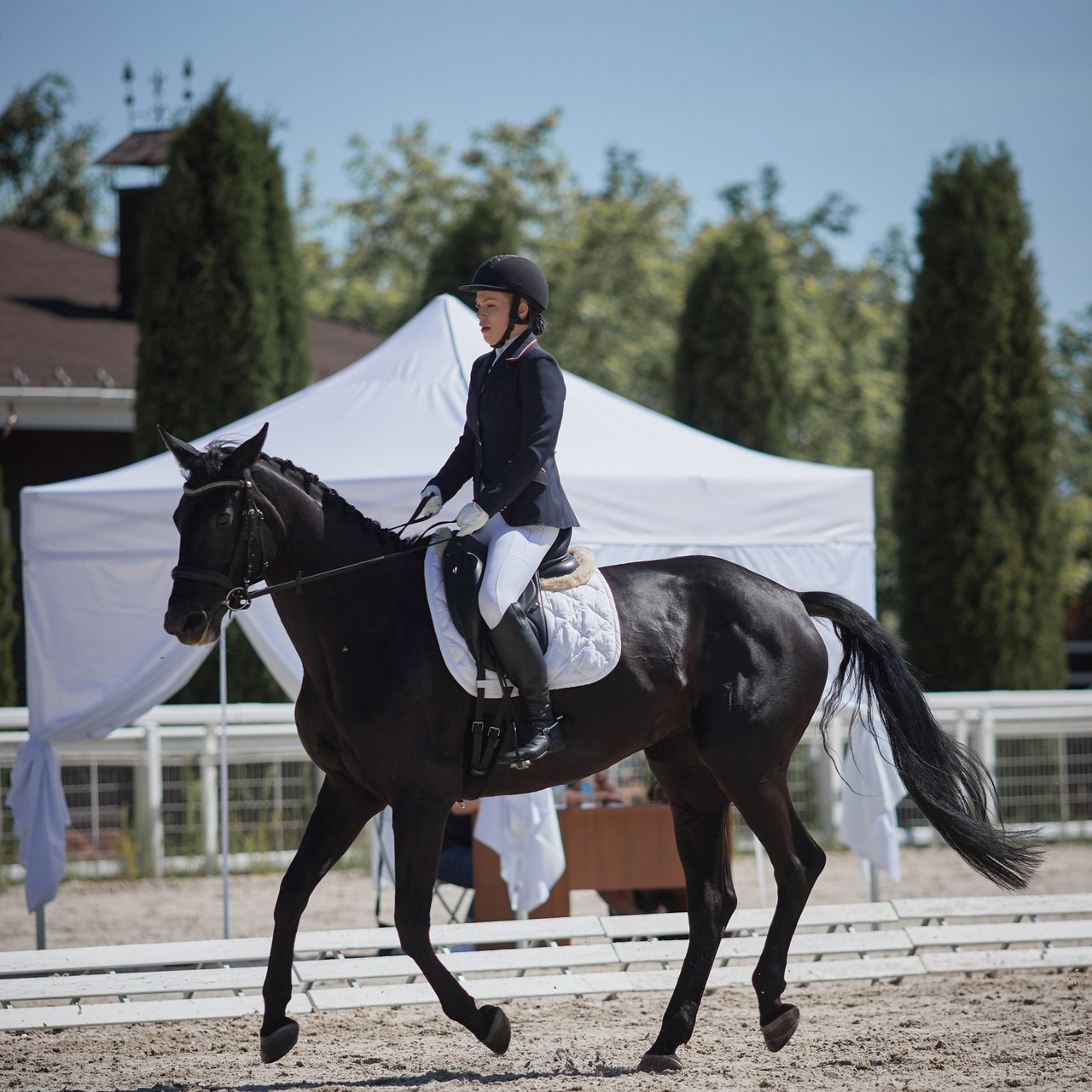 Отзывы. Главная