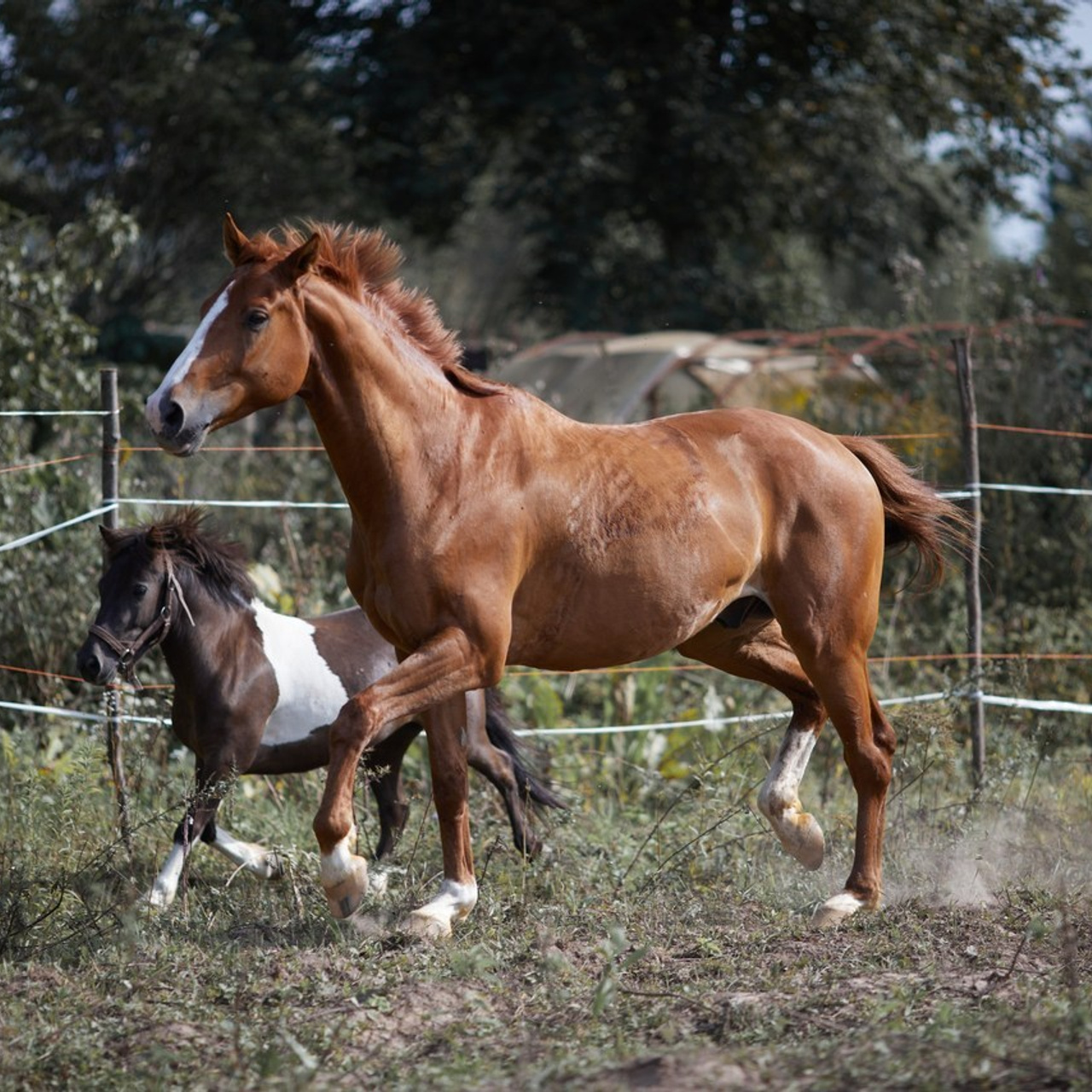 Отзывы. Главная