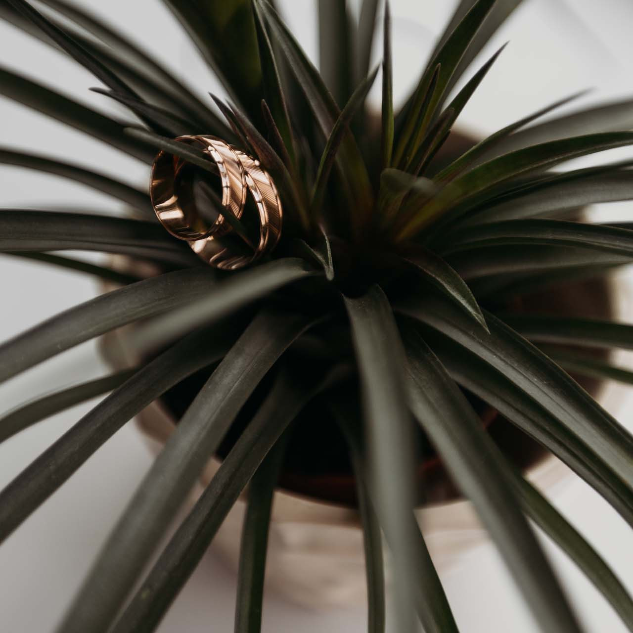 Отзывы. Свадебный семейный фотограф и видеограф Гомель Минск Беларусь Европа