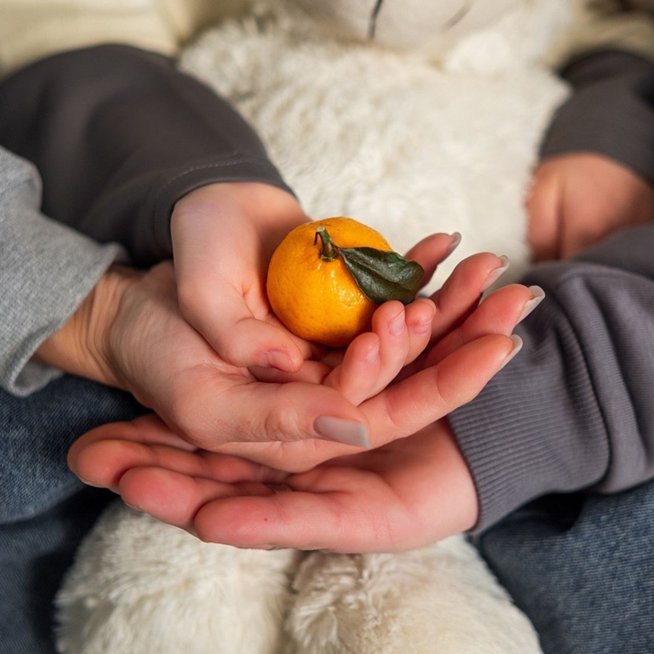 Отзывы. Фотограф Екатерина Шишкина. Питкяранта. Карелия