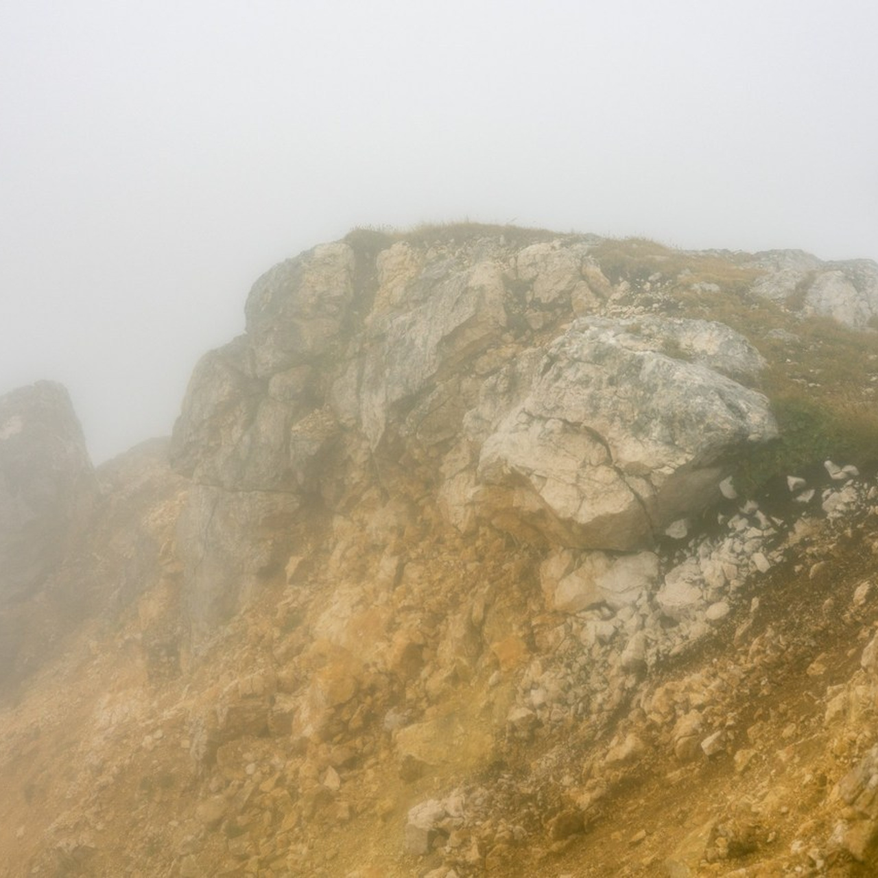 Отзывы. Репортажный фотограф в Москве Зуйко Оксана