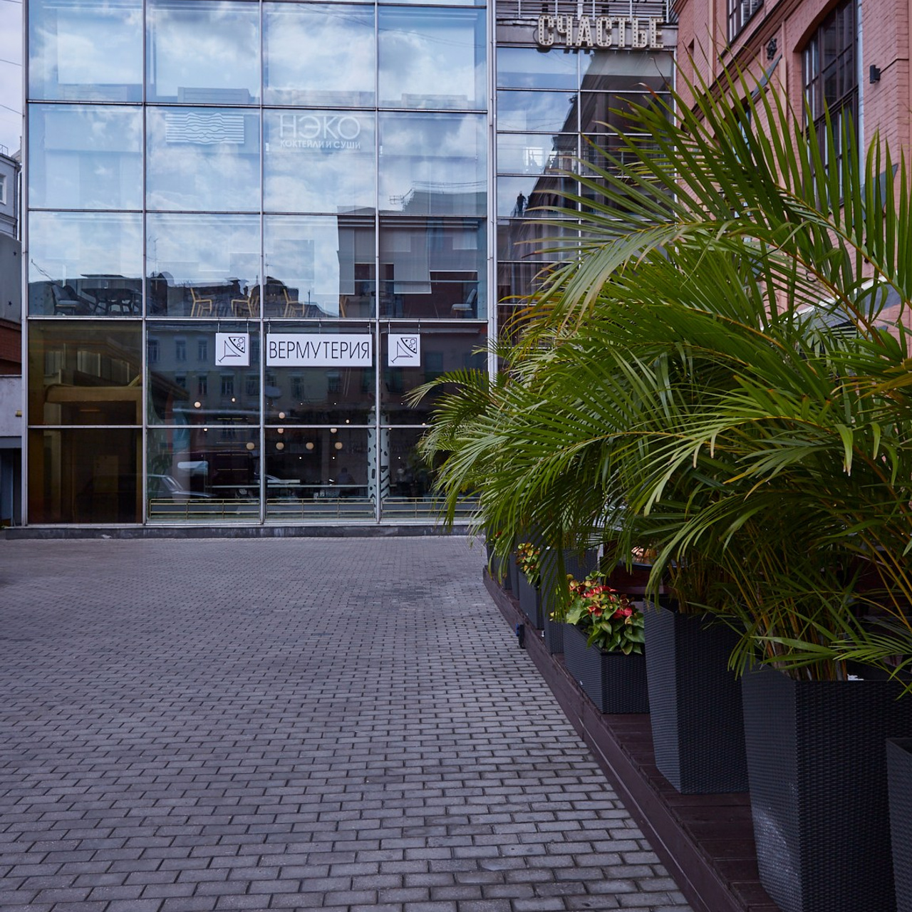 Вермутерия 1