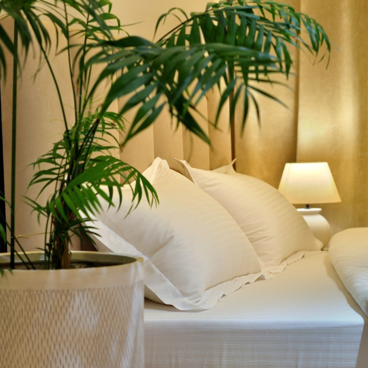 Апартаменты PRIMO-Apart