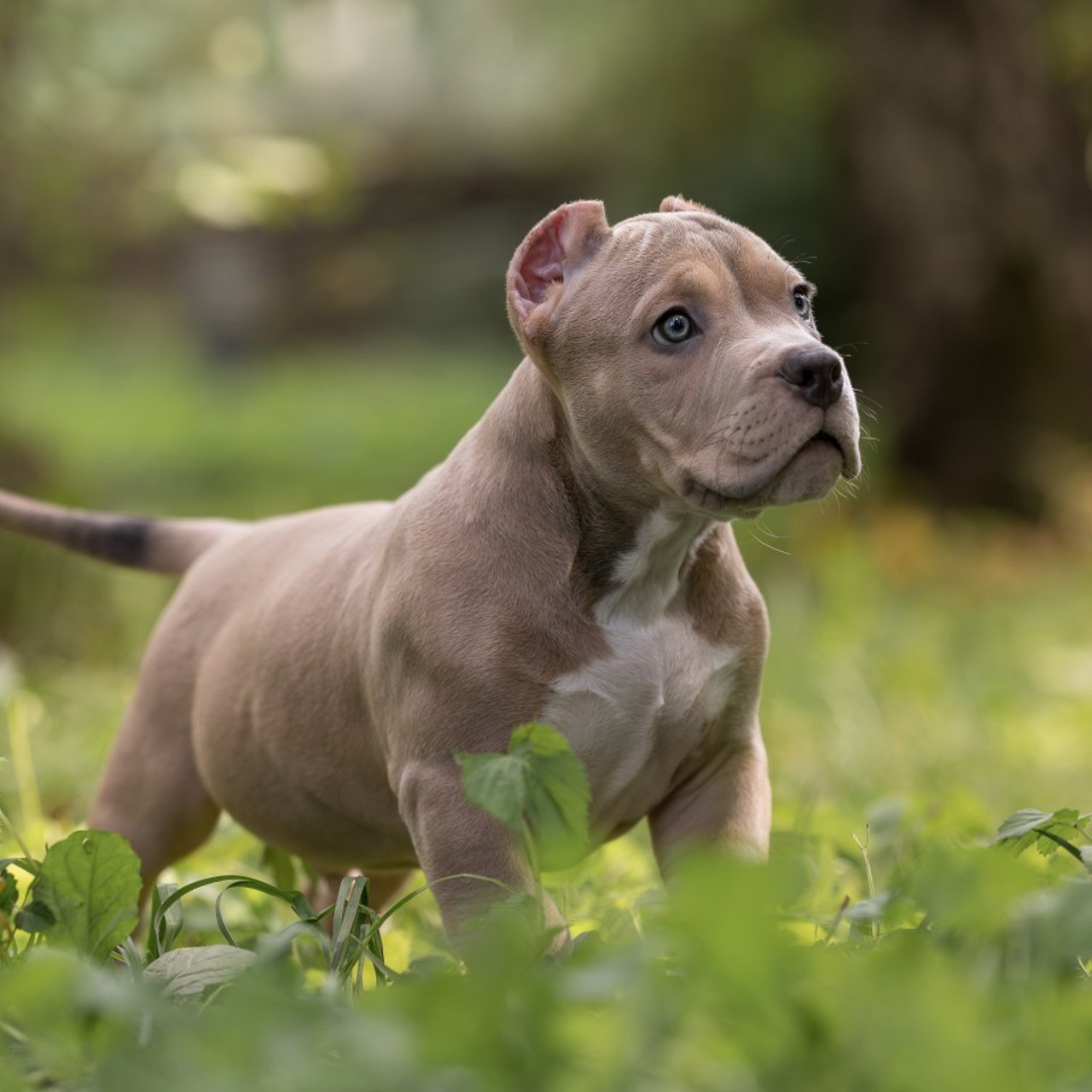 Отзывы. Фотограф-анималист в Москве, МО и Владимире
