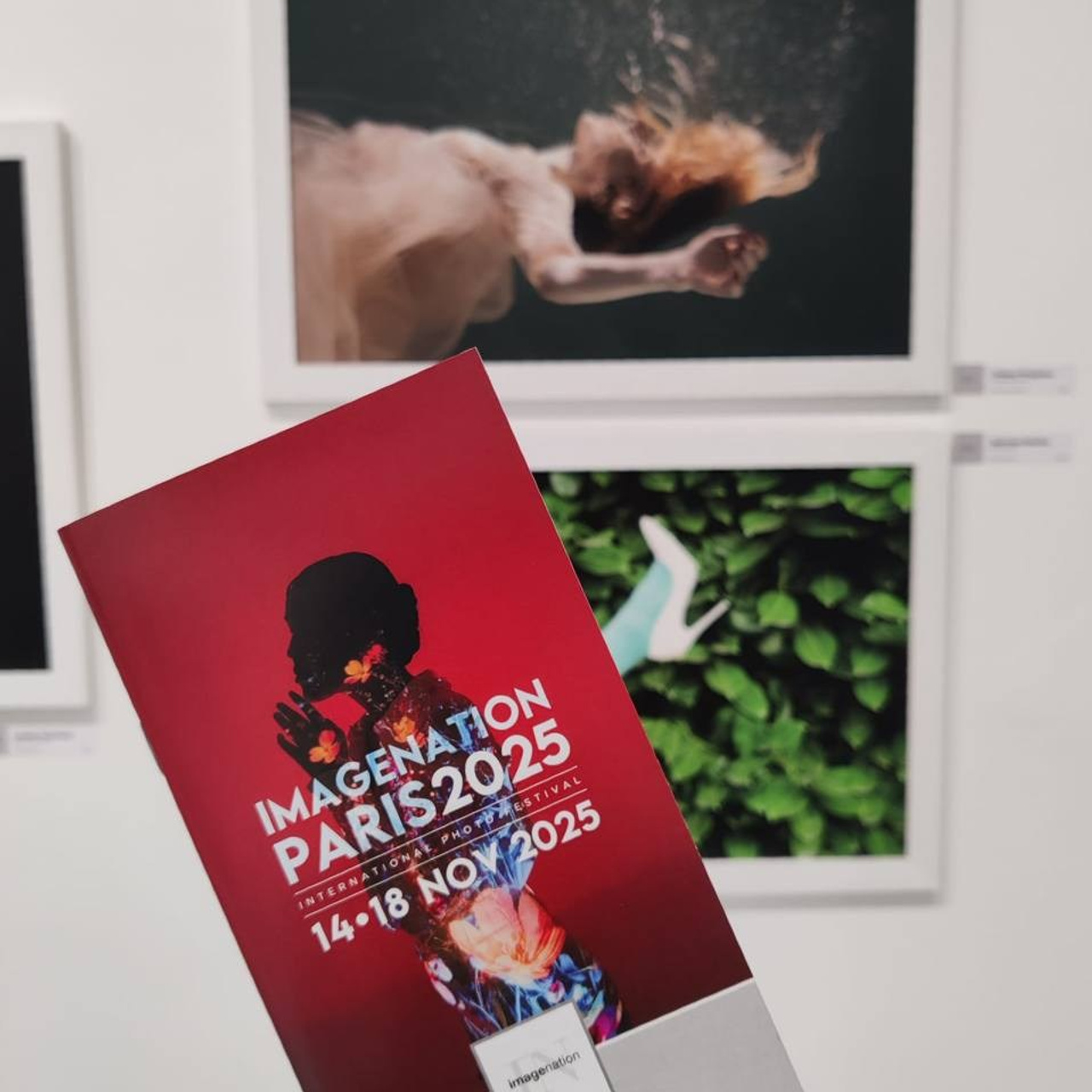 Новости. Фотограф вашей улыбки. Москва