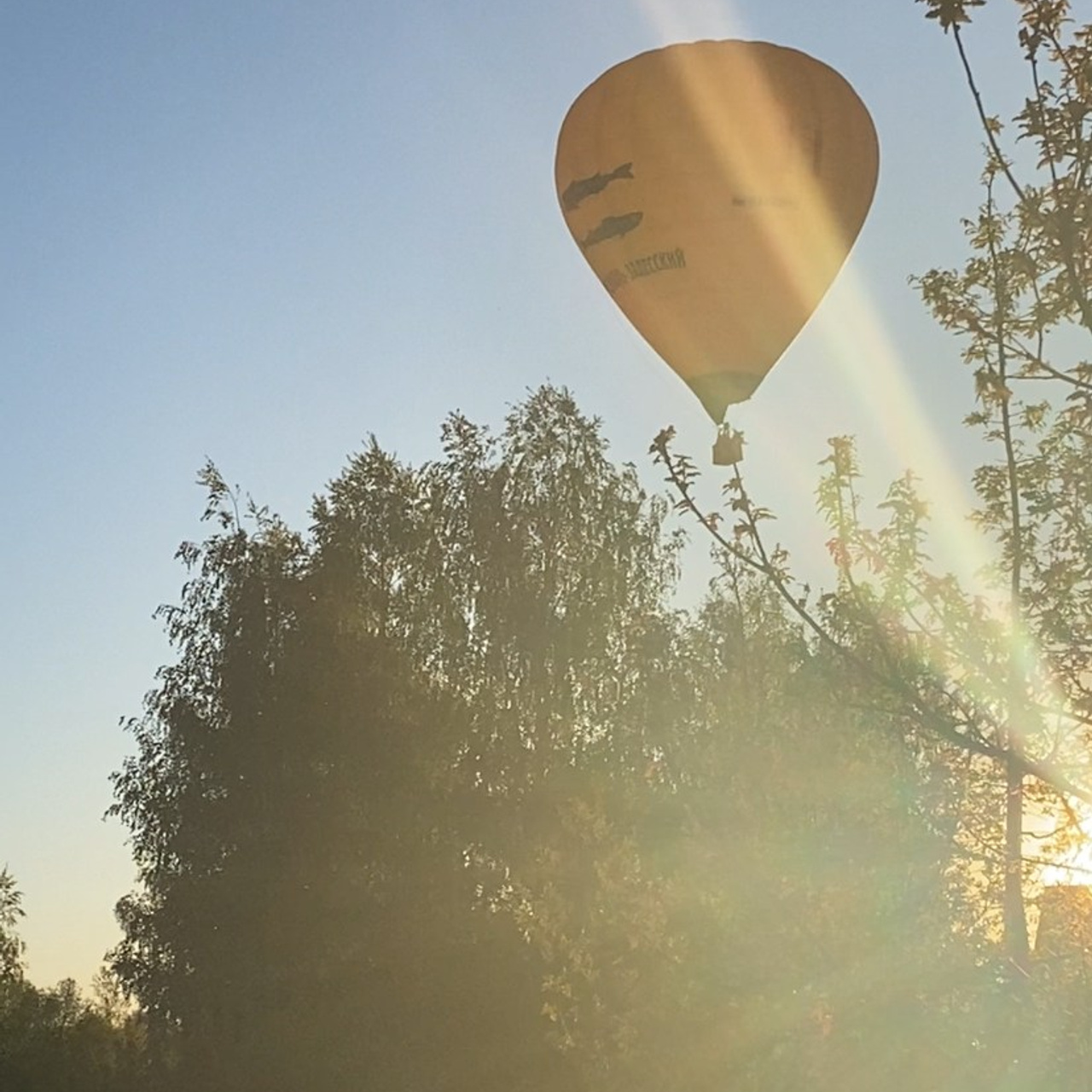 Путешествие в Суздаль. Фотограф и видеограф Елена Лисина