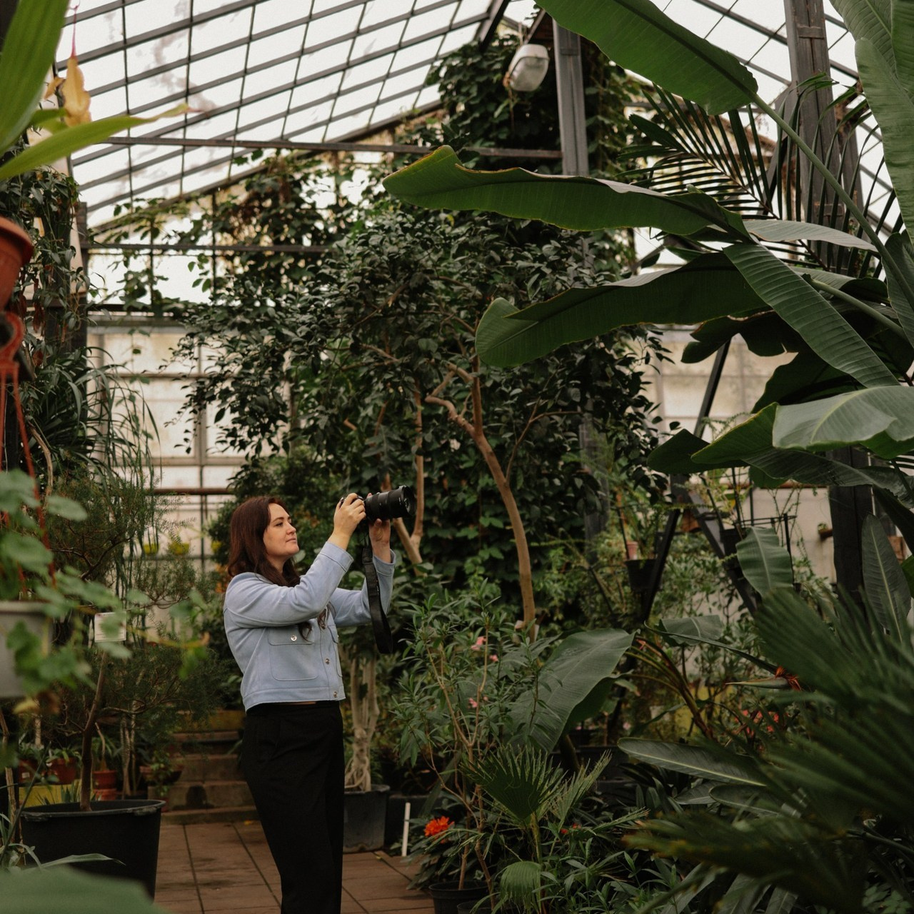 Отзывы. Фотограф и видеограф Елена Лисина