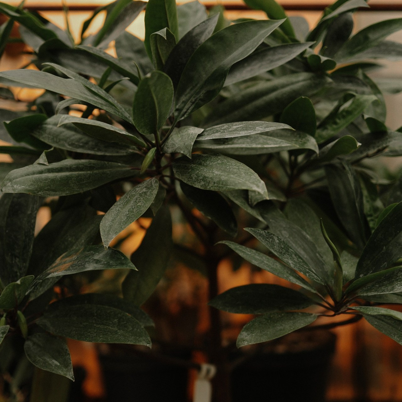 Отзывы. Фотограф и видеограф Елена Лисина