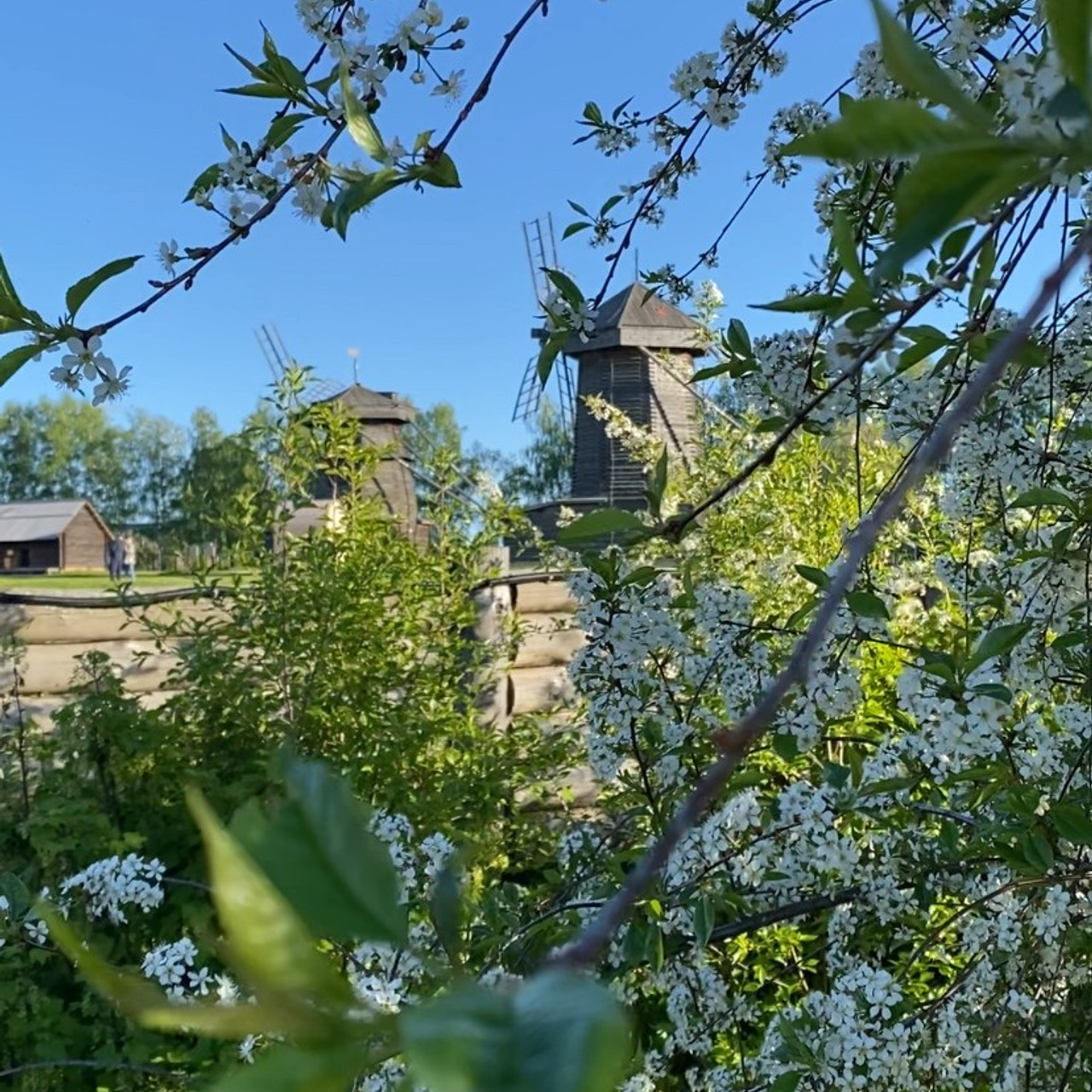 Путешествие в Суздаль. Фотограф и видеограф Елена Лисина