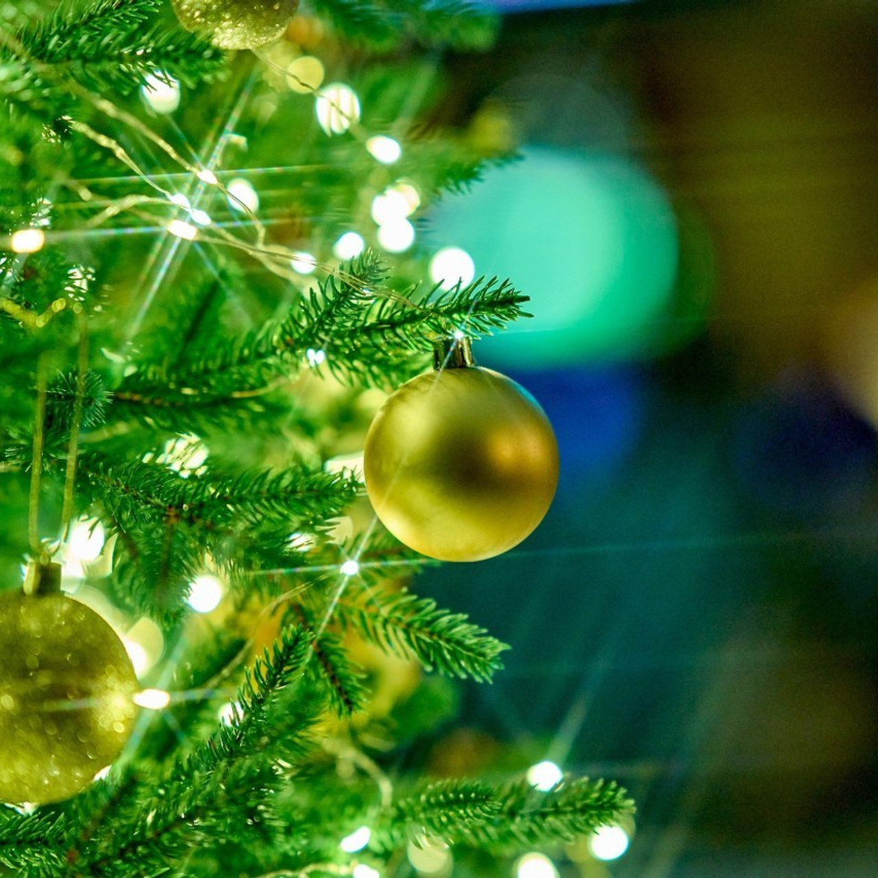 Отзывы. MAKSIM ZVEREV