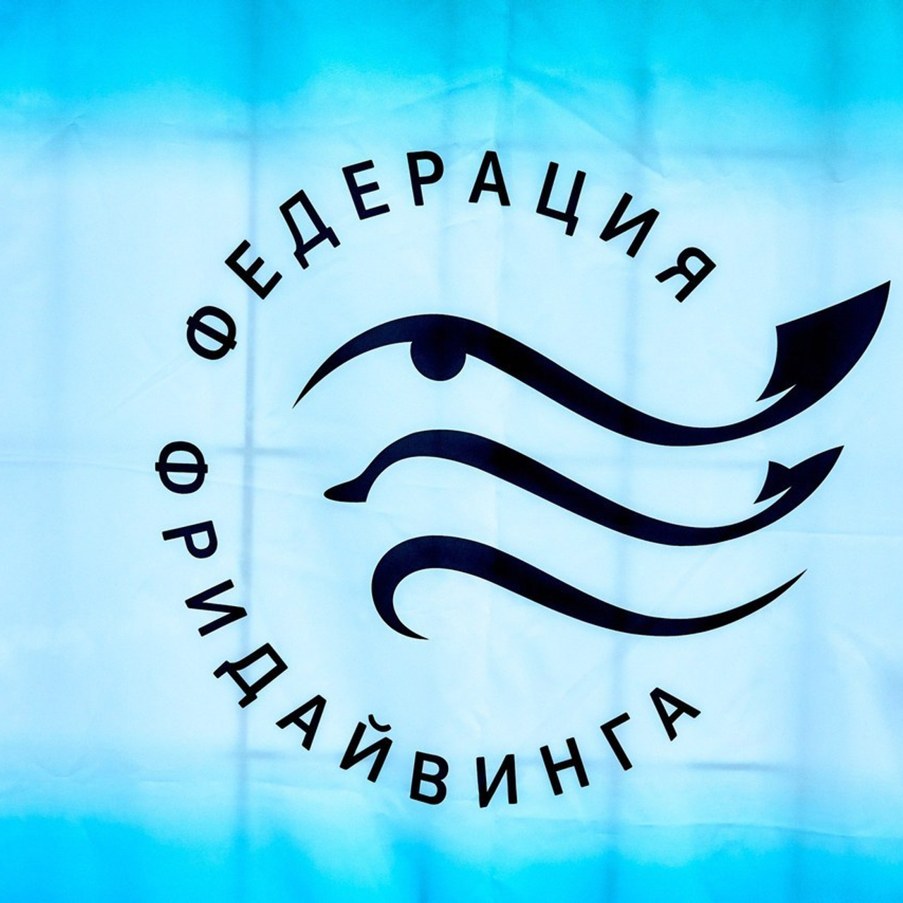 Отзывы. MAKSIM ZVEREV