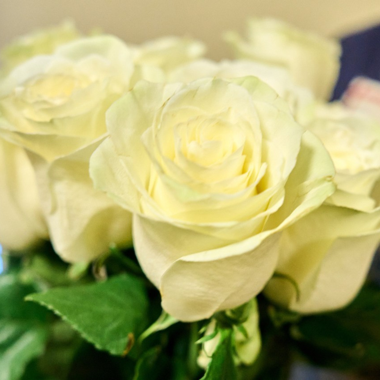 Отзывы. MAKSIM ZVEREV