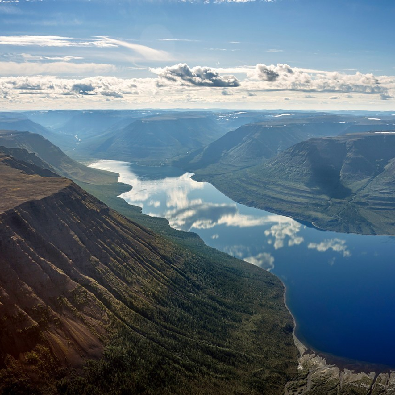 Отзывы. MAKSIM ZVEREV