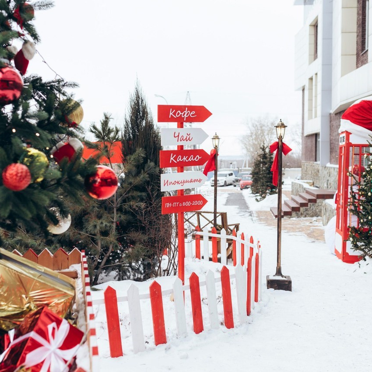 Отзывы. Фотограф Кемерово Анастасия Ларионова