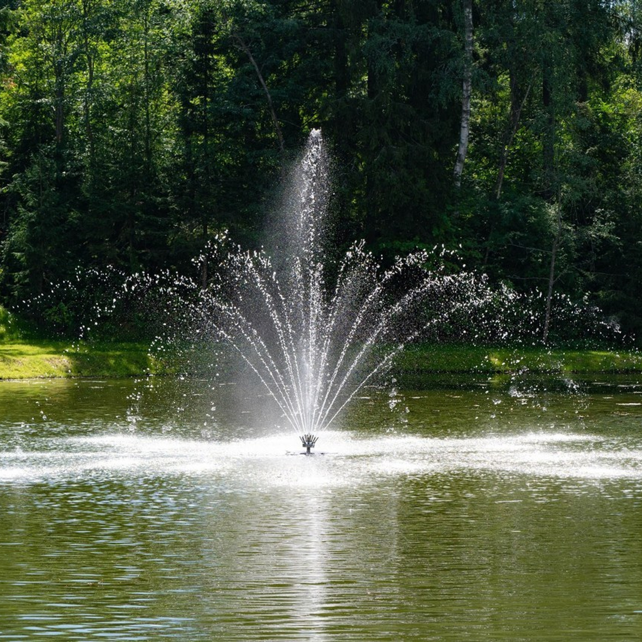 Отзывы. Фото и видео съёмка на заказ. VAU Studia. Москва