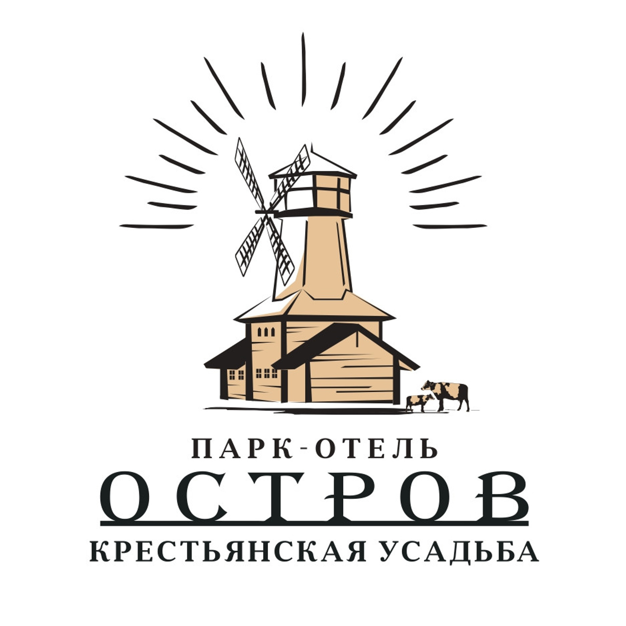 Отзывы. Фото и видео съёмка на заказ. VAU Studia. Москва