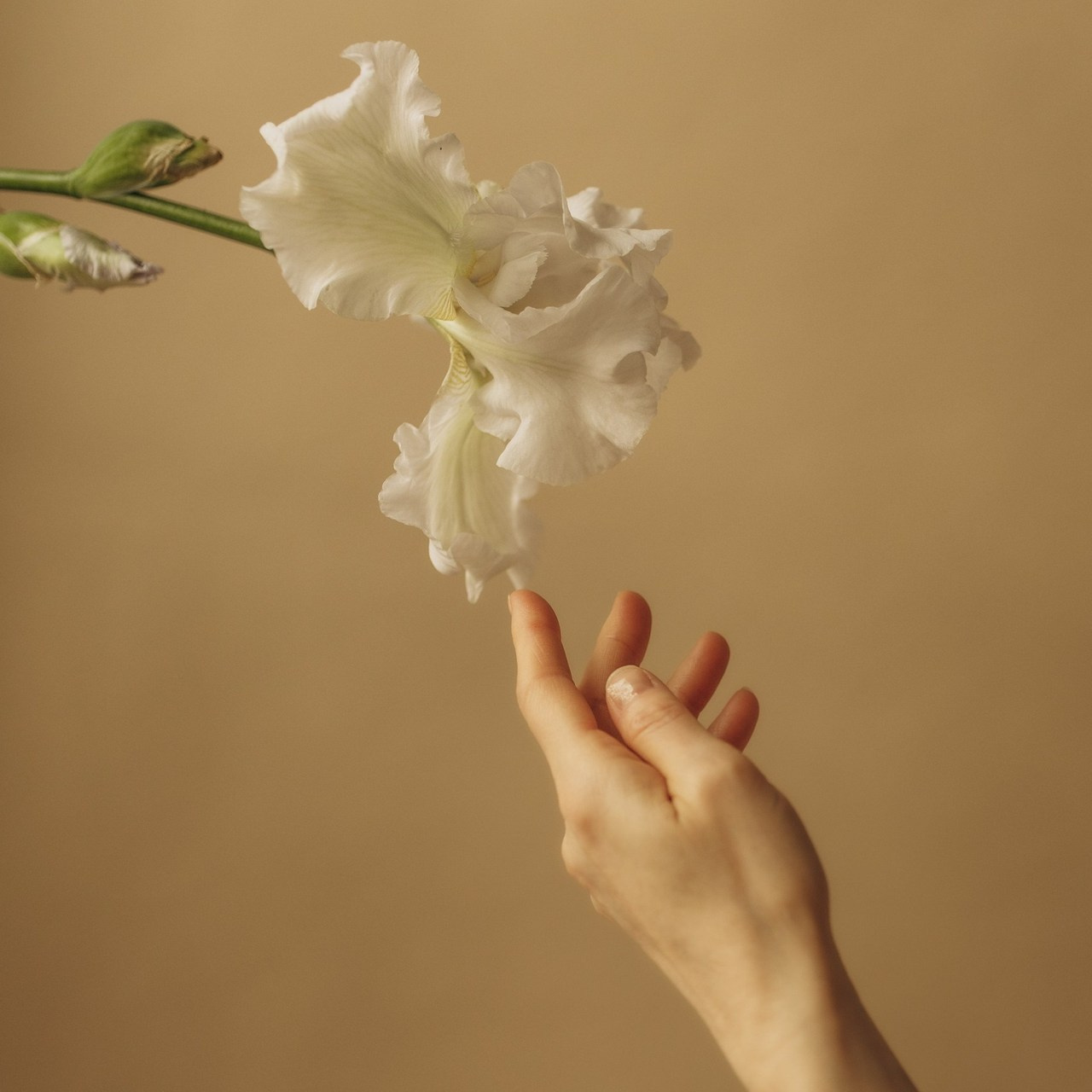 Отзывы. Семейный и детский фотограф в Дмитрове и Москве Старцева Ирина