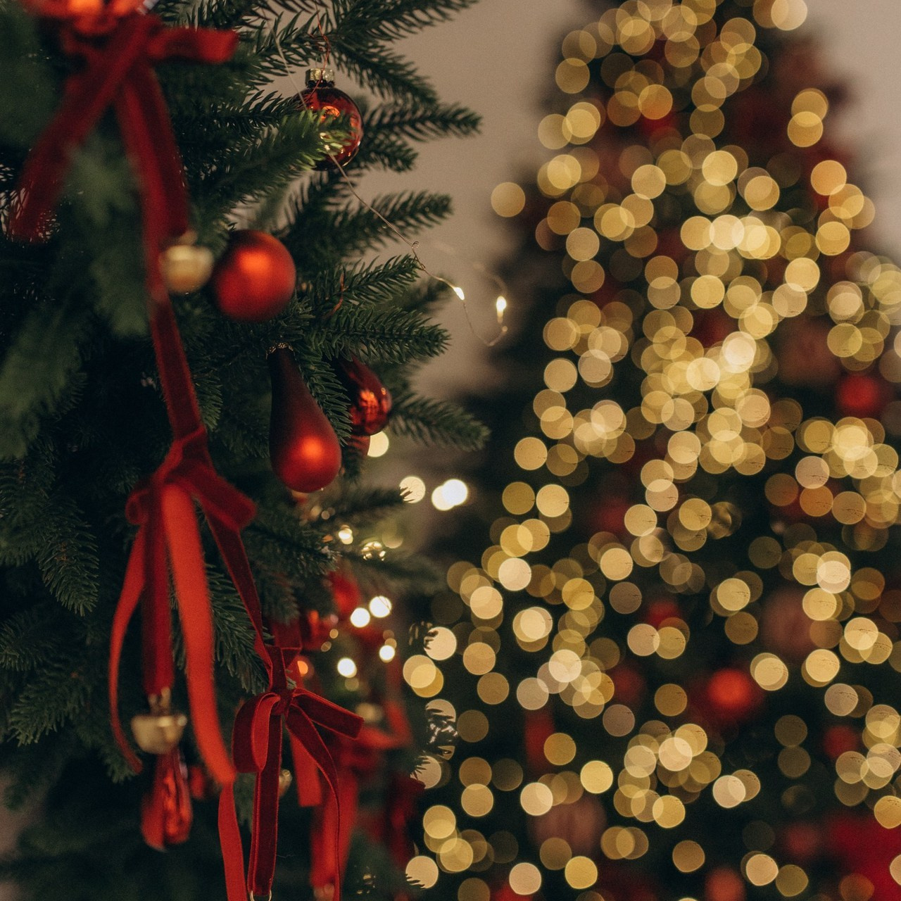 Отзывы. Семейный и детский фотограф в Дмитрове и Москве Старцева Ирина