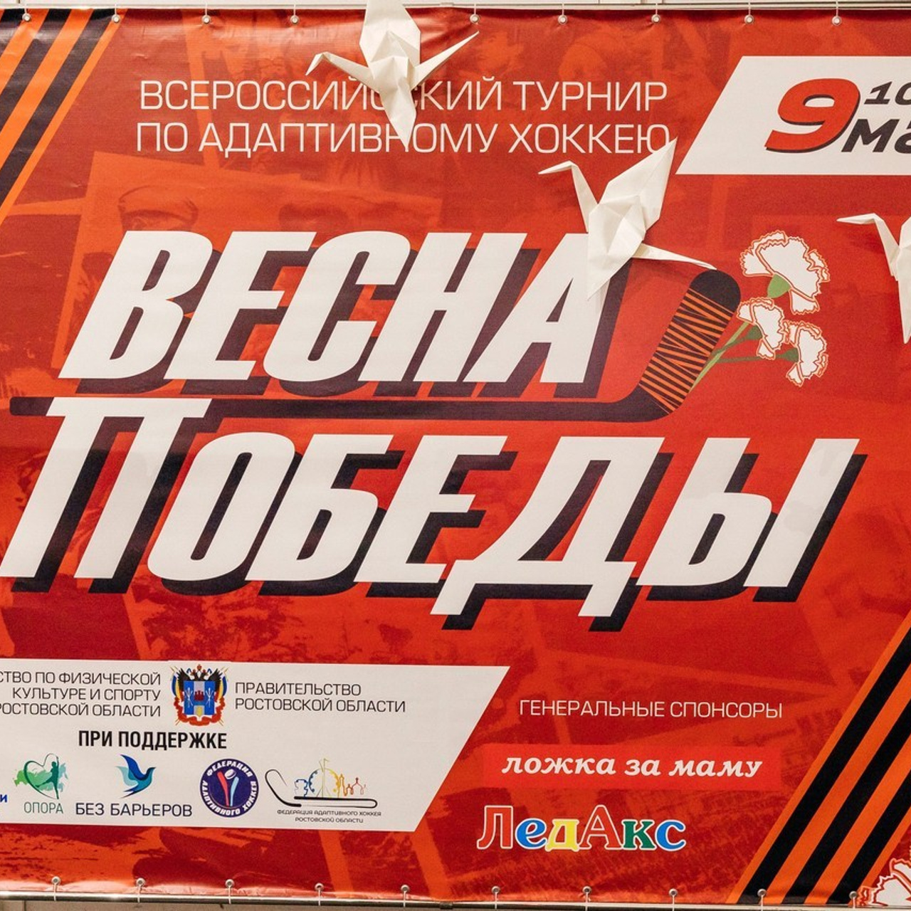 Отзывы. Фотограф в Ростове-на-Дону Юлия Желтова