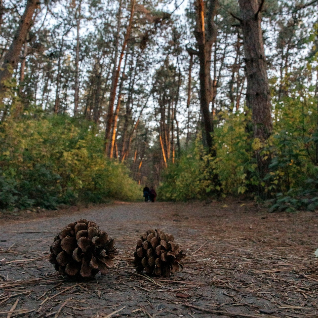 Отзывы. Фотограф в Ростове-на-Дону Юлия Желтова