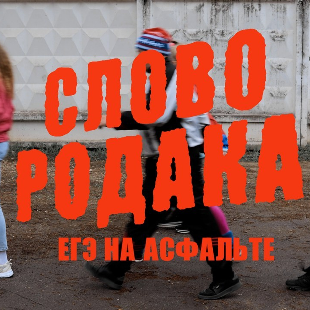 Отзывы. Фотограф и Видеограф